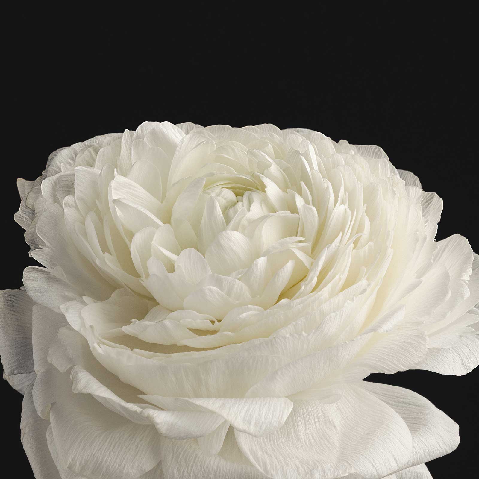 taormina - hand care set