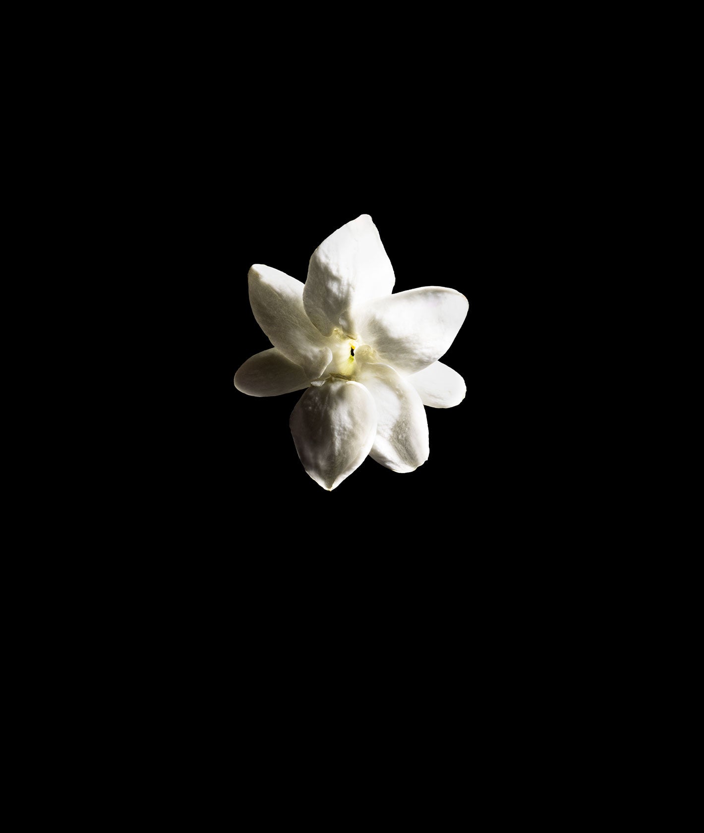fine fragrance sets