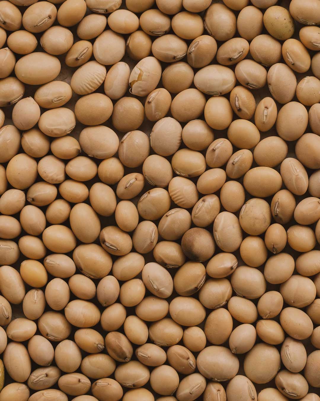 havana - restorative hand wash