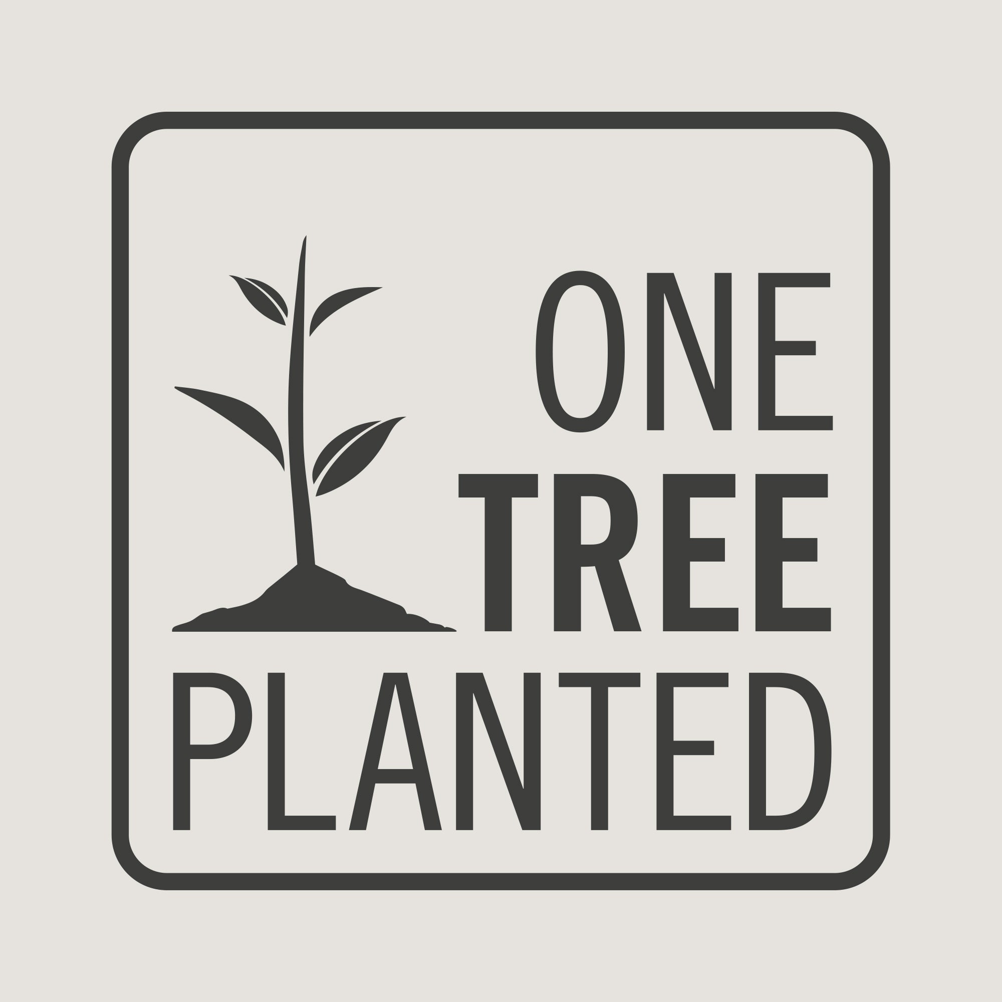 plant one tree – evolvetogether